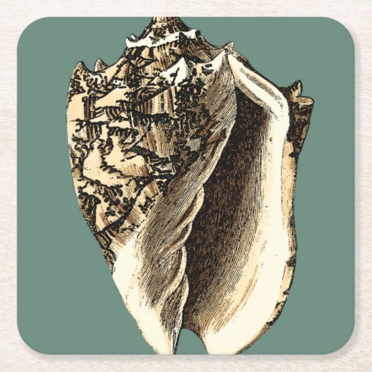 ティール(緑がかった色)コンチシェル スクエアペーパーコースター (正面)