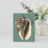 ティール(緑がかった色)コンチシェル ポストカード (スタンド正面)