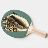 ティール(緑がかった色)コンチシェル 卓球ラケット (横)