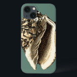 ティール（緑がかった色）コンチシェル iPhone 13ケース<br><div class="desc">この美しいクラシックの黒と白のコンチシェルでは、非常に鋭く鋭い自然の貝殻の陰影を見ることがで澄んきる。砂の中の貝殻やビーチの狩りで自分遊のイメージを作成できる。このスタイル航海ののティール（緑がかった色）コンチシェルアートを今すぐお気に入りの製品に！</div>