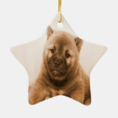 ティール（緑がかった色）スターペットの写真初めてのクリスマスの名前と年 セラミックオーナメント (裏面)