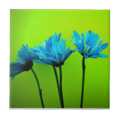 ティール（緑がかった色）ターコイズデイジーオンライムグリーンフラワーギフト タイル (正面)