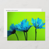 ティール（緑がかった色）ターコイズデイジーオンライムグリーンフラワーギフト ポストカード (正面/裏面)