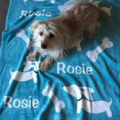 ティール（緑がかった色）ダッシカスタムャンド犬用ブランケット フリースブランケット