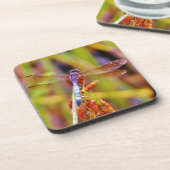 ティール（緑がかった色）トンフライオンセッジ コースター (左側)