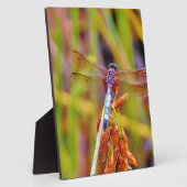 ティール(緑がかった色)トンフライオンセッジ フォトプラーク (側面)