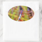 ティール（緑がかった色）トンフライオンセッジ 楕円形シール (バッグ)