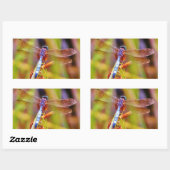 ティール（緑がかった色）トンフライオンセッジ 長方形シール (シート)