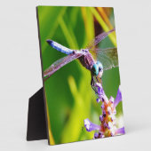 ティール（緑がかった色）&パープルドラゴンフライ フォトプラーク (側面)