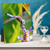 ティール（緑がかった色）&パープルドラゴンフライ フォトプラーク (側面)