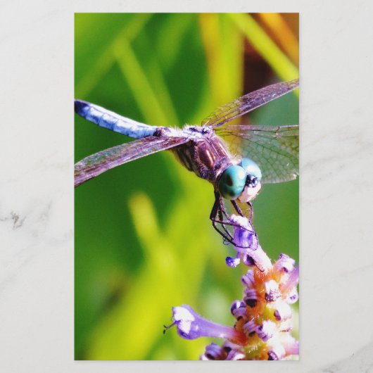 ティール（緑がかった色）&パープルドラゴンフライ 便箋 (正面)
