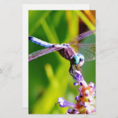 ティール（緑がかった色）&パープルドラゴンフライ 便箋 (正面/裏面)