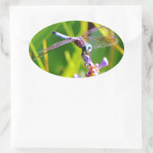 ティール(緑がかった色)&パープルドラゴンフライ 楕円形シール (バッグ)