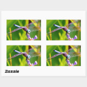 ティール（緑がかった色）&パープルドラゴンフライ 長方形シール (シート)