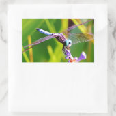 ティール（緑がかった色）&パープルドラゴンフライ 長方形シール (バッグ)