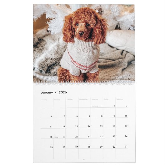 ティール（緑がかった色）ファミリーのモノグラム名blue 20フォトコラージュ カレンダー (1月 2026)