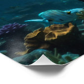 ティール（緑がかった色）ブルーアンダーウォータードルフィンシーンI ポスター (コーナー)