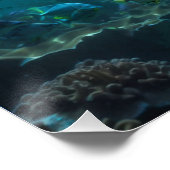 ティール（緑がかった色）ブルーアンダーウォータードルフィンシーンII ポスター (コーナー)