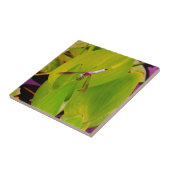 ティール(緑がかった色)ブルートンボのグリーンリーフ。 タイル (側面)