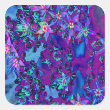 ティール（緑がかった色）、マゼンタ、青の多肉性セダムの花