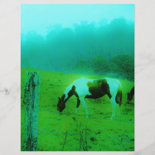 ティール（緑がかった色）ミストレ絵を描ト色ポニー馬 (正面)