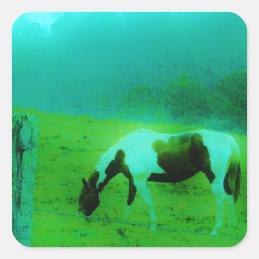 ティール(緑がかった色)ミストレ絵を描ト色ポニー馬 スクエアシール (正面)