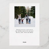 ティール（緑がかった色）モダンバッファロープレイドクリスマスツーフォト 箔シーズンカード (裏面)