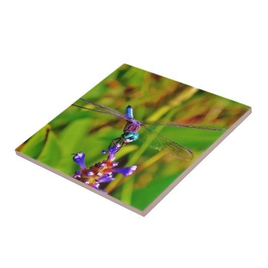 ティール(緑がかった色)レインボートンフライ タイル (側面)