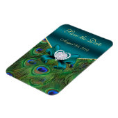 ティール（緑がかった色）孔雀の日付を保存 マグネット (左側)