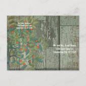 ティール（緑がかった色）愛する鳥が木に座って日を守る 案内ポストカード (裏面)