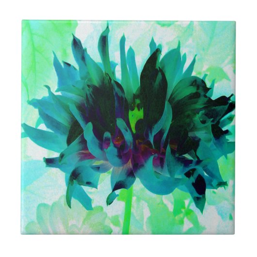 ティール（緑がかった色）素晴らし&ブラックサボットダリア タイル (正面)
