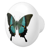 ティール(緑がかった色)蝶 セラミックノブ (右)