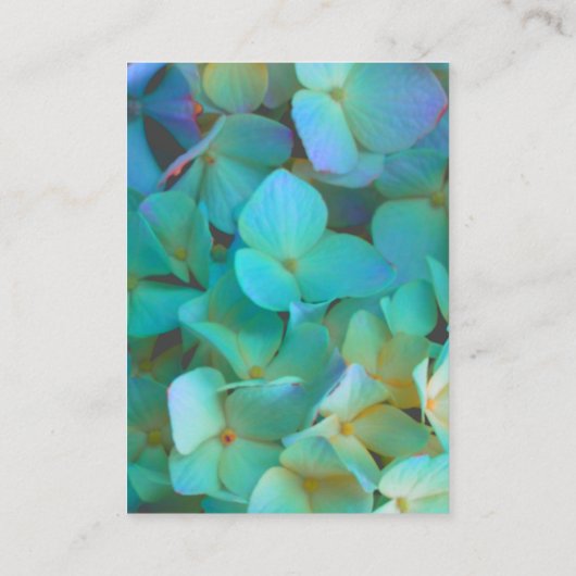 ティール(緑がかった色)青黄色紫陽花 エンクロージャーカード (裏面)