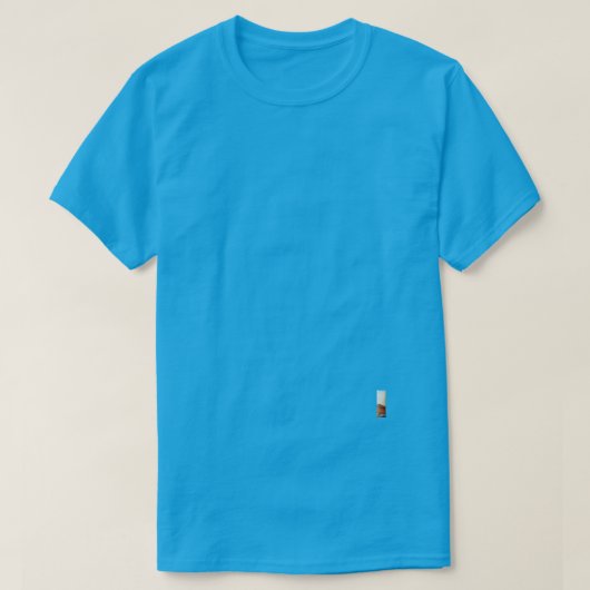 ティール / Tシャツ (デザイン正面)