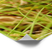 ティーンイティベビーチムンクのポスター ポスター (角)