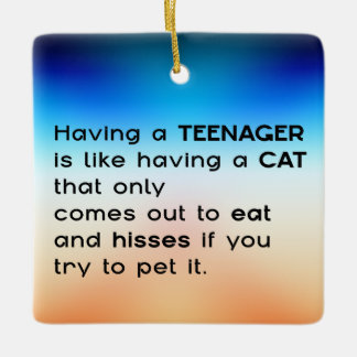 ティーンエイジャーを持つということ... セラミックオーナメント