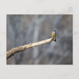 ティーンエイ・チニー ポストカード