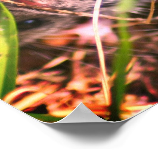 ティーンベビーフィールドマウスとコーン ポスター (角)