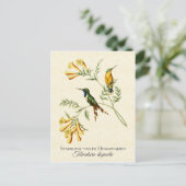 テイきらめくドハミングバードヴィンテージアート ポストカード (スタンド正面)