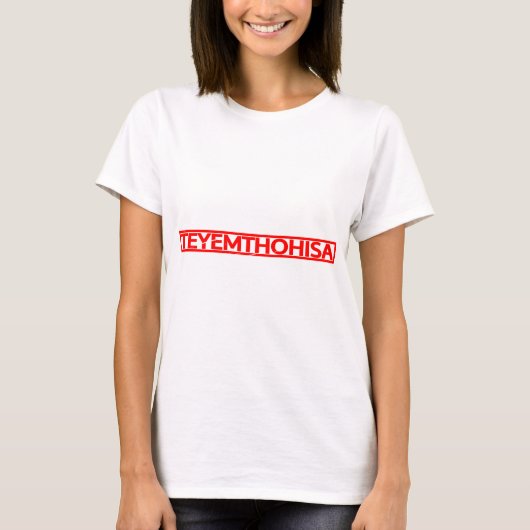 テイエモヒサ印 Tシャツ (正面)