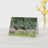 テイクイット簡単2 カード (黄色い花)