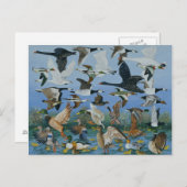 テイクオフ1996 ポストカード (正面/裏面)