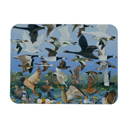 テイクオフ1996 マグネット (横)