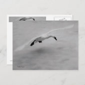 テイクオフ ポストカード (正面/裏面)