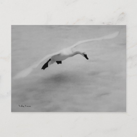 テイクオフ ポストカード (正面)