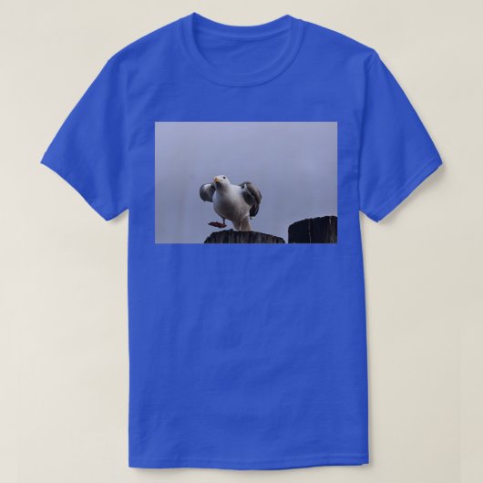 テイクオフ Tシャツ (デザイン正面)