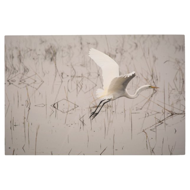 テイクオ素晴らしフ36 X 24メタルウォールアート メタルプリント (正面)