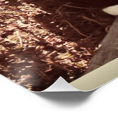 テイストライフやる気を起こさせるキャットフォト引用文 ポスター (コーナー)