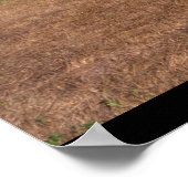 テイラークラフト、BC-12D、1946_Aviationクラシック Aviation ポスター (角)