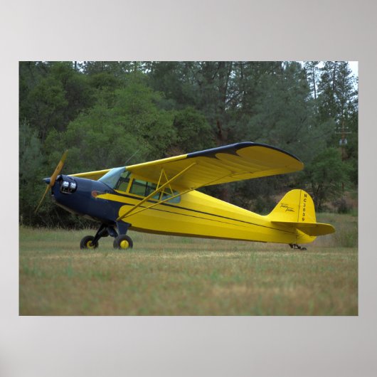 テイラークラフト, DC-65, 1941_クラシックAviation ポスター (正面)